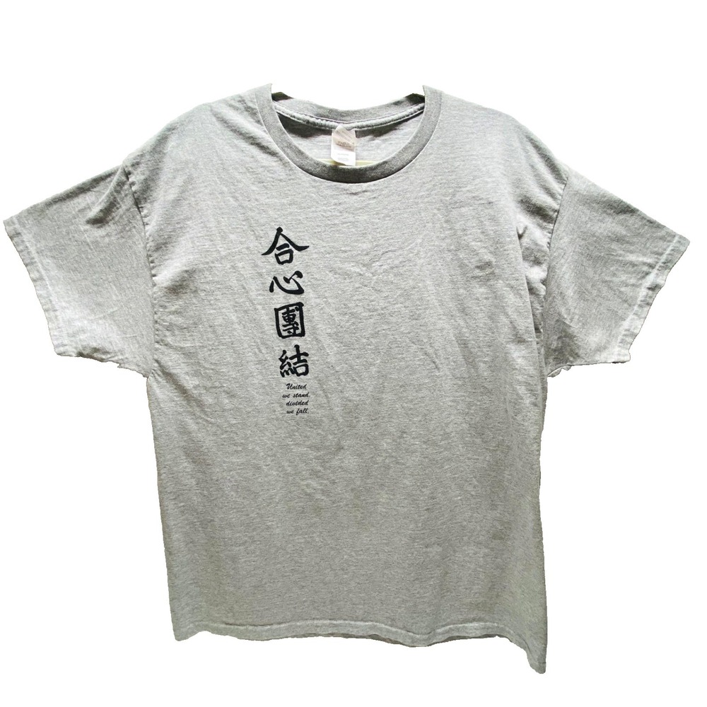 Vintage Hanes T-Shirt Men's XL Gray Health Wellness Martial Arts Tee Shirt 1999